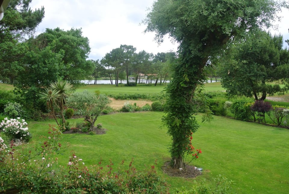 Garden, Garden view