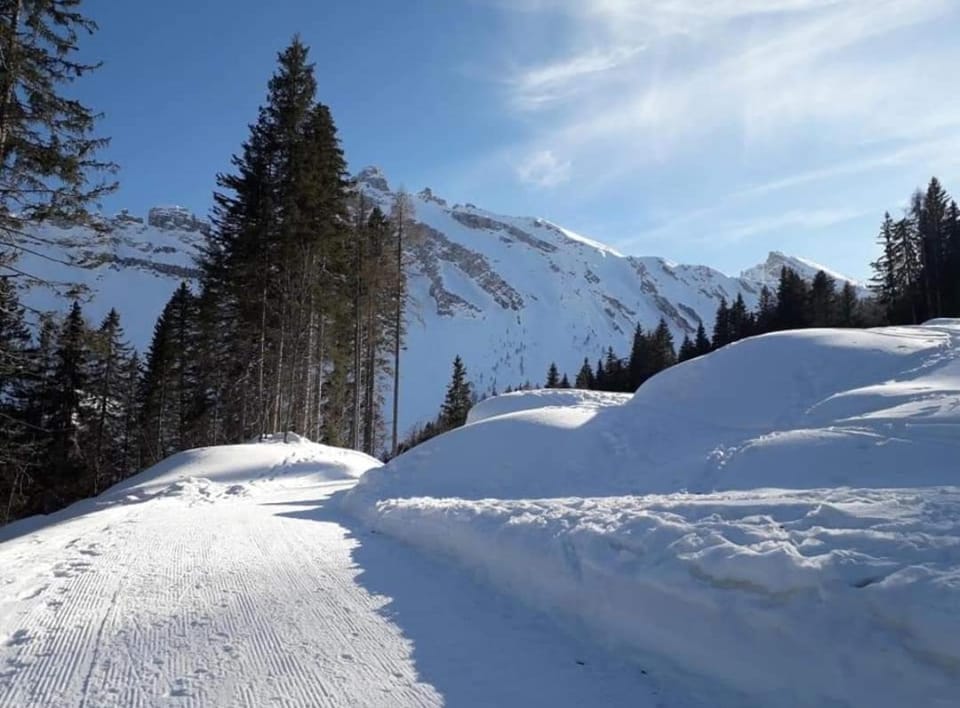Il Terrazzo Sulle Dolomiti Apartment in Trentino-South Tyrol