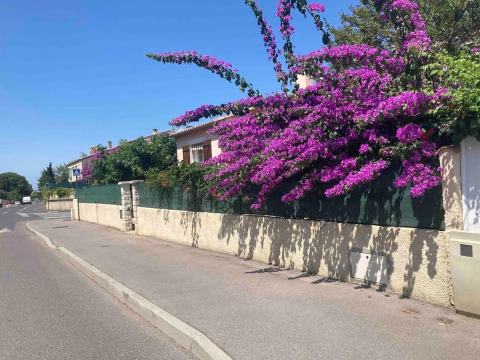 Spring, Neighbourhood