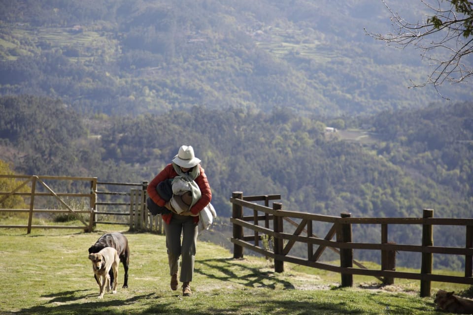 Leiras do Tempo - Adults Nature Retreat - Cottages - Gerês National Park Villa in Viana do Castelo District, Portugal