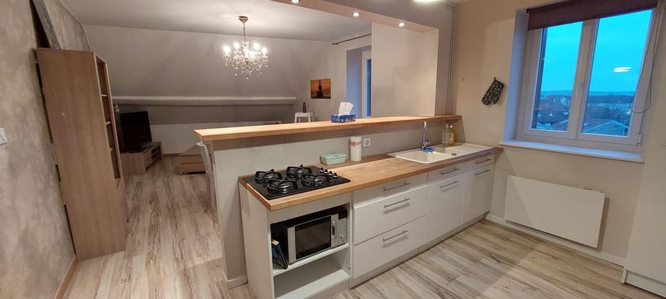 Kitchen or kitchenette, minibar, stove