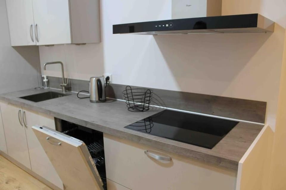 Kitchen or kitchenette, dishwasher, minibar, pet friendly, stove