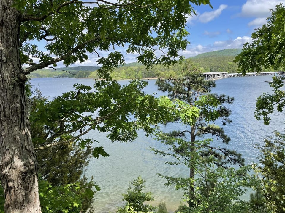 Three-Bedroom House House in Lake Ouachita