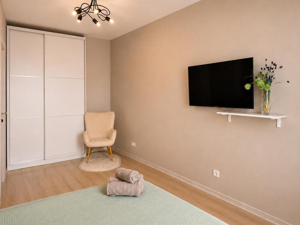 TV and multimedia