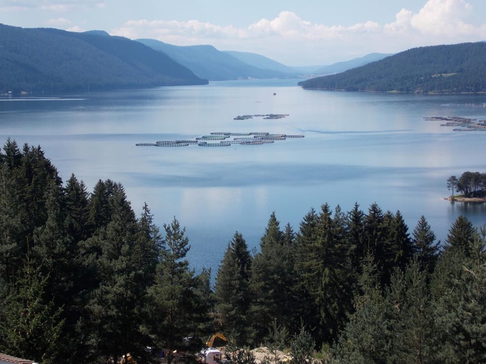 Lake view