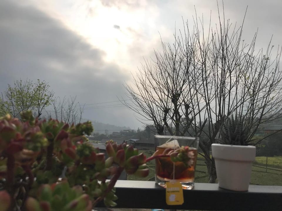 Day, Natural landscape, Garden view