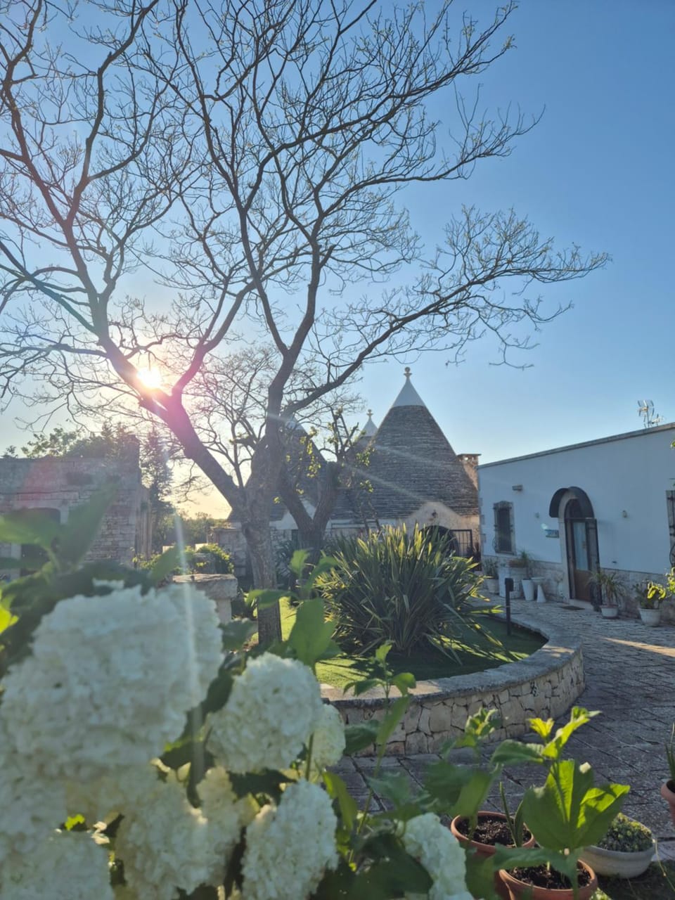 TRULLI ALLEGRETTI House in Province of Taranto