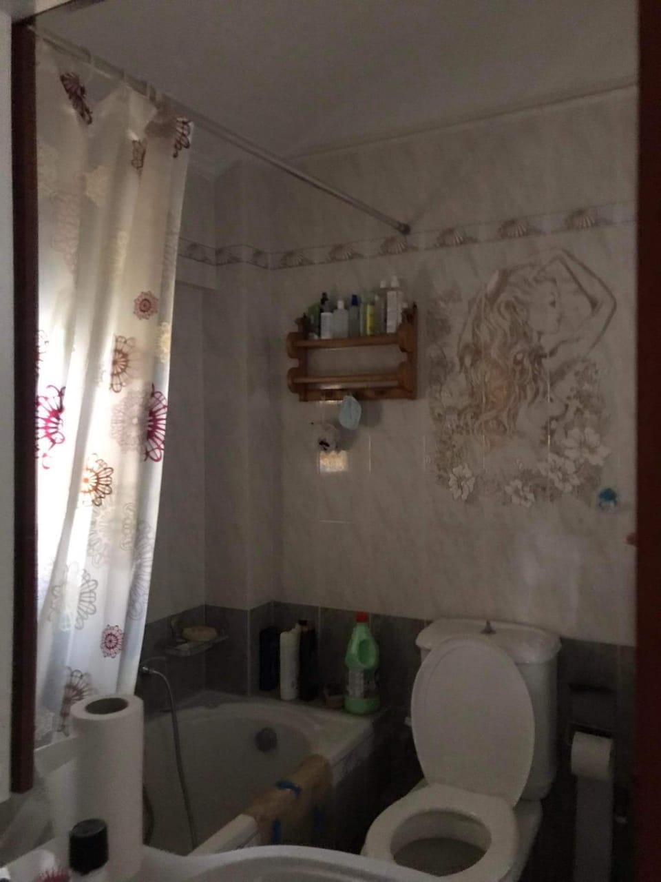 Διαμερισμα επάνω στο κυμα Apartment in Euboea