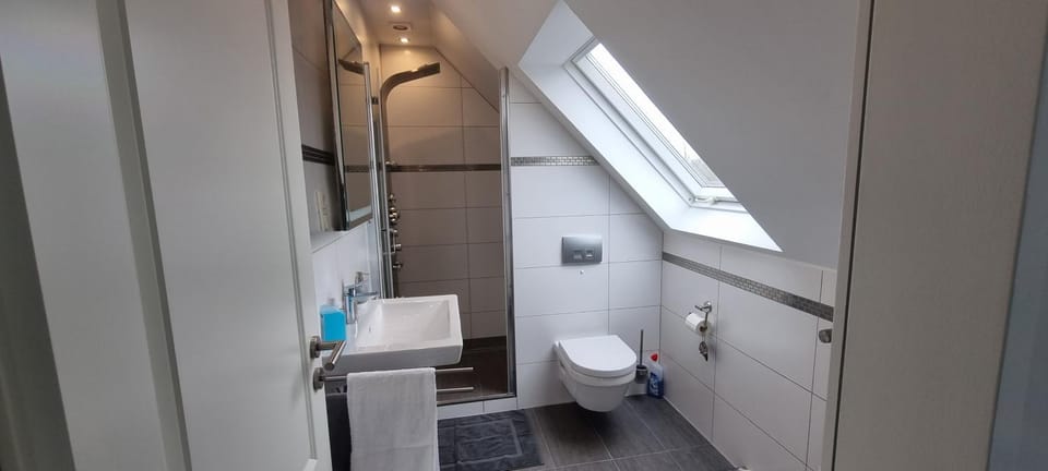 Shower, Toilet, Bathroom