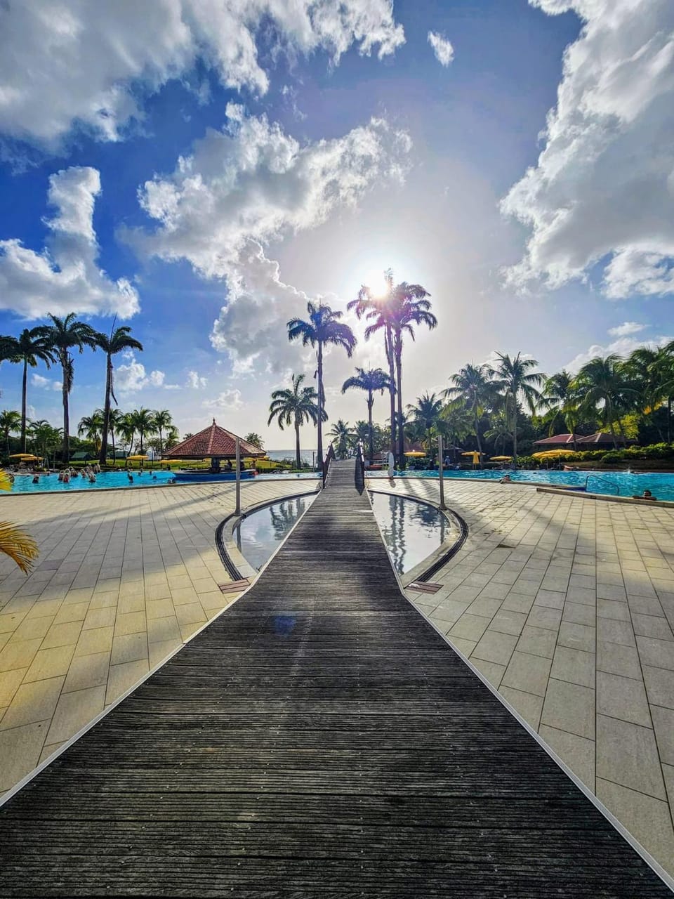 Day, Natural landscape, Garden view, Pool view, Swimming pool