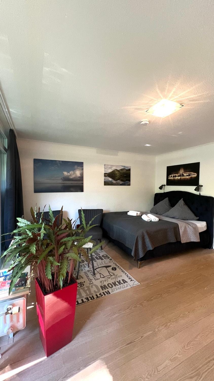 Bed, TV and multimedia, Living room, Photo of the whole room, Seating area, Bedroom