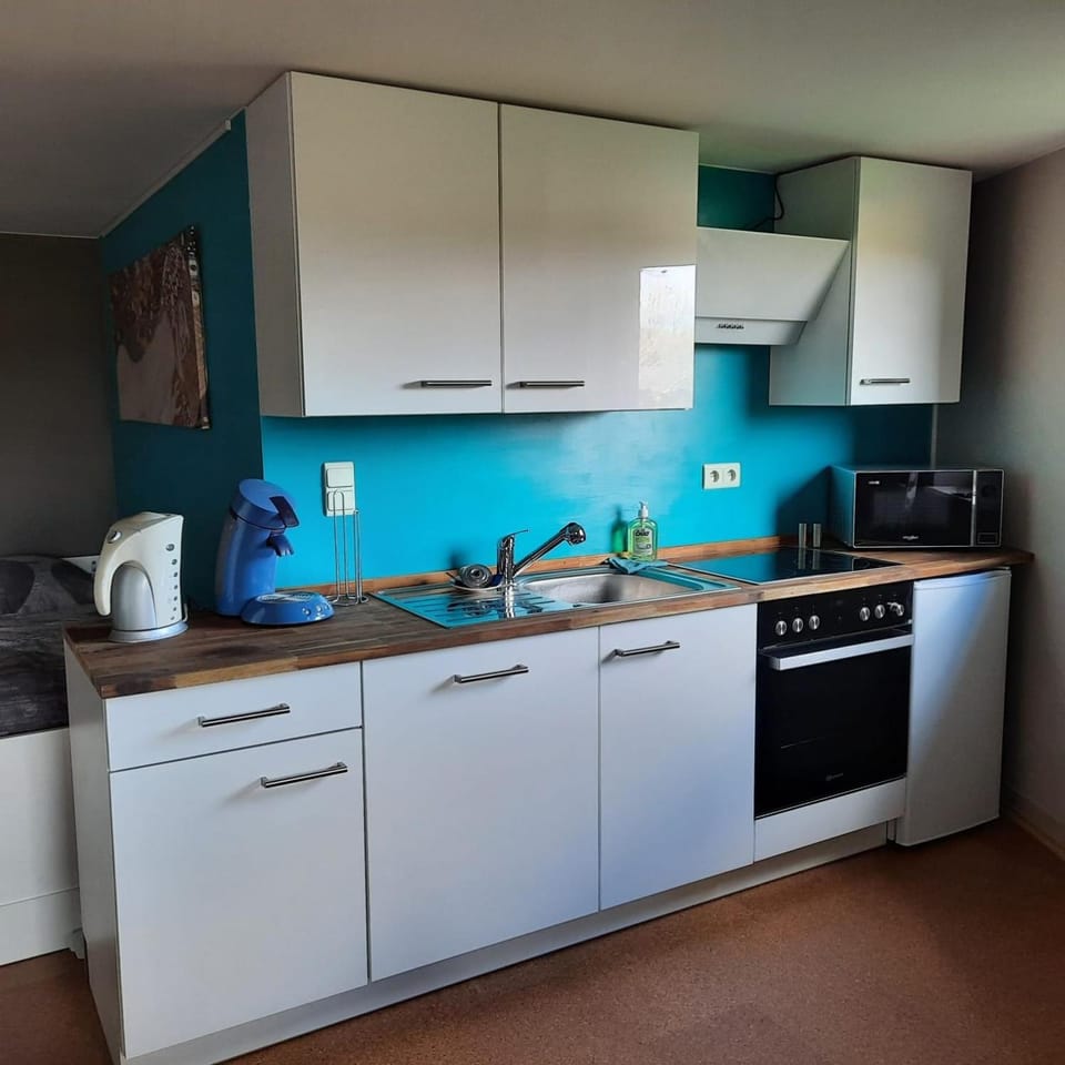 Kitchen or kitchenette, dishwasher, minibar, pet friendly, stove
