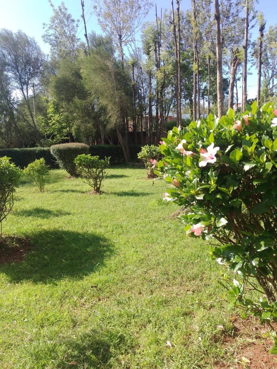Wooden Knee Cottages Nanyuki Bed and Breakfast in Kenya
