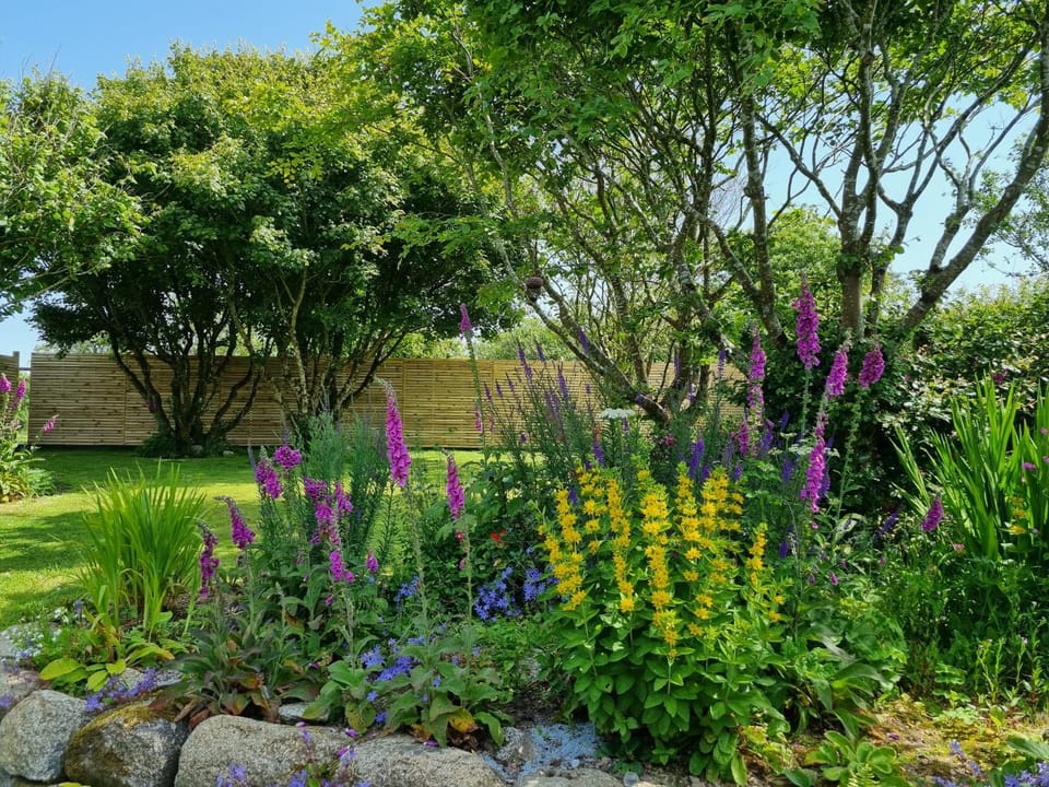 Garden, Garden view