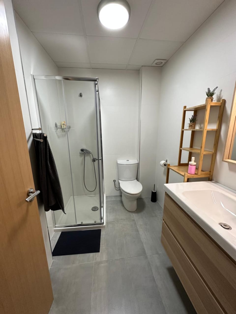 Shower, Toilet, towels