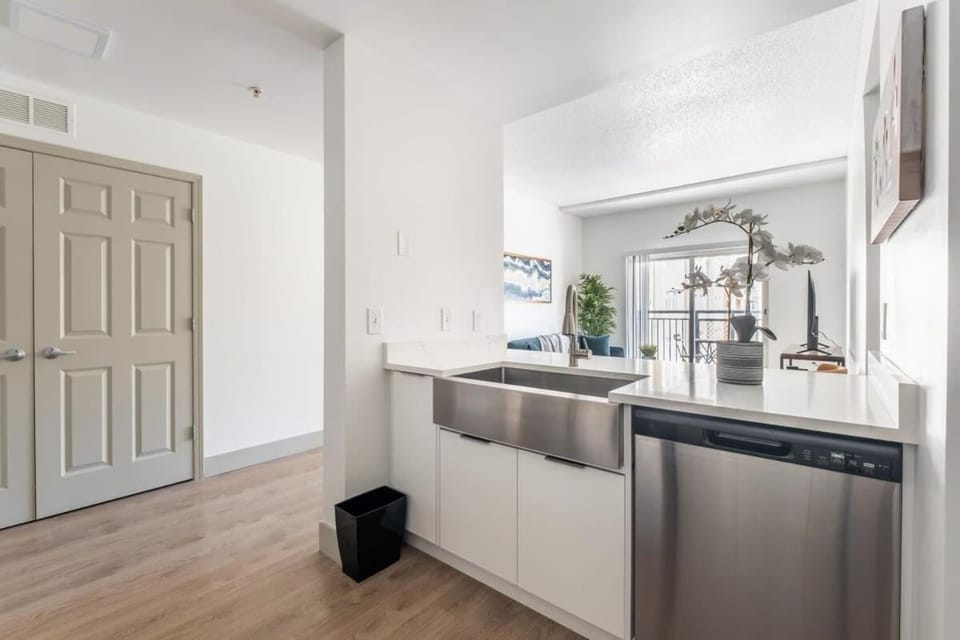 Kitchen or kitchenette, dishwasher
