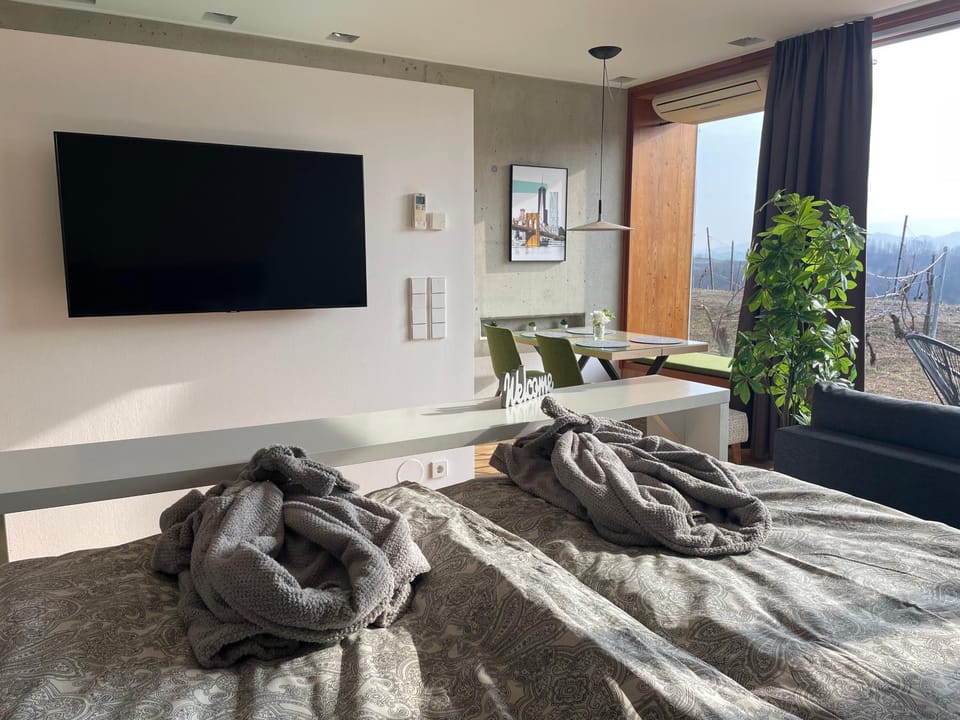 *BRANDNEW* MODERNES APARTMENT IN DEN WEINBERGEN MIT POOL UND SAUNA Apartment in Styria