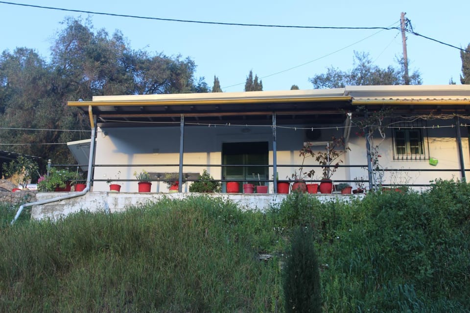 Property building, Day, Garden