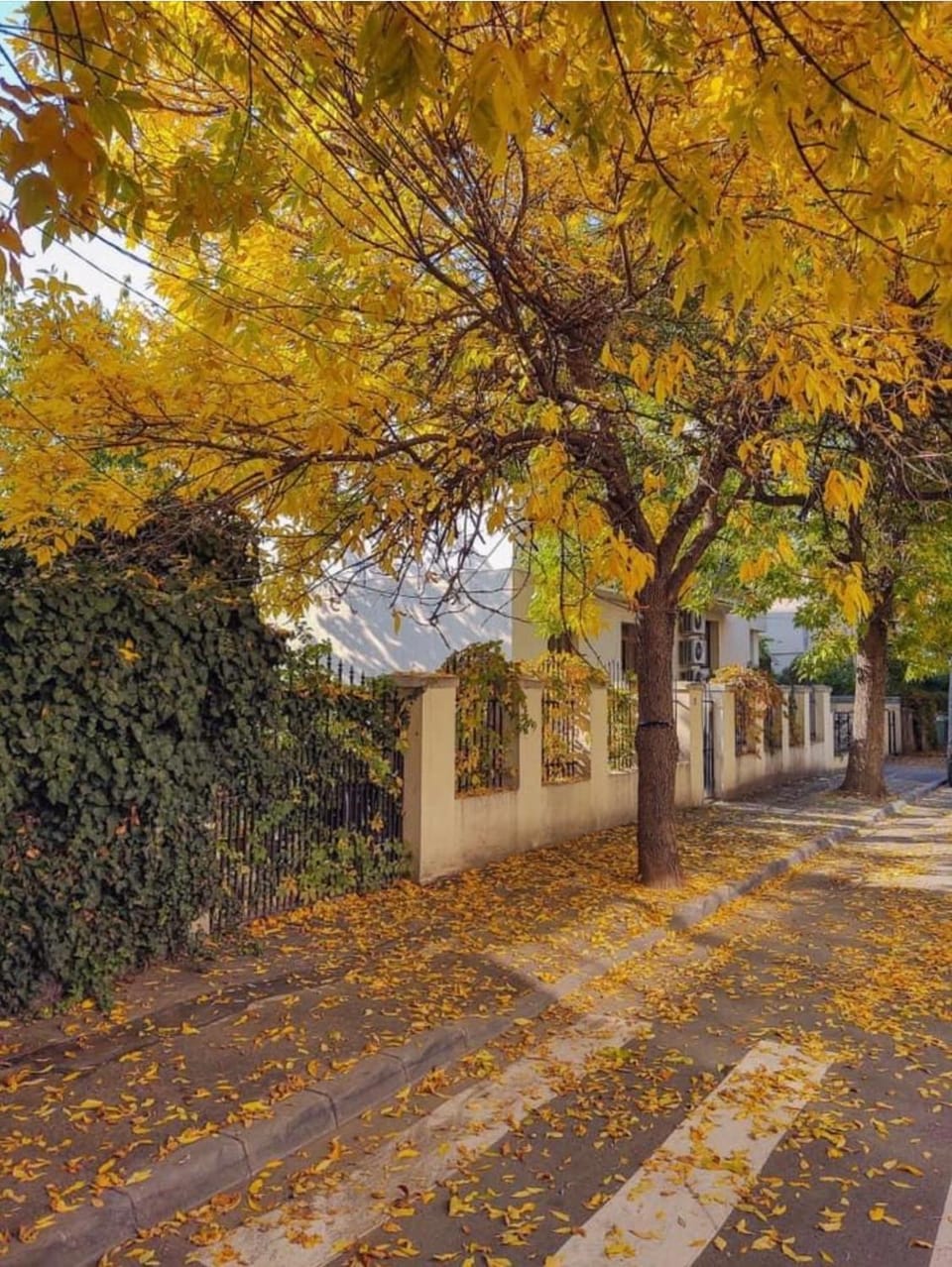Neighbourhood