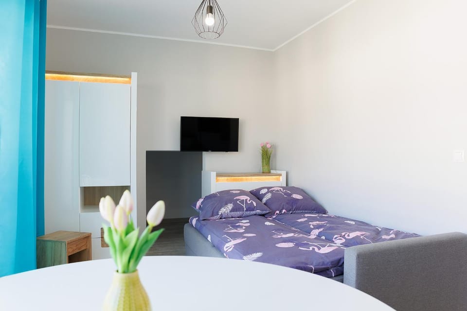 Bed, TV and multimedia, Photo of the whole room, Bedroom
