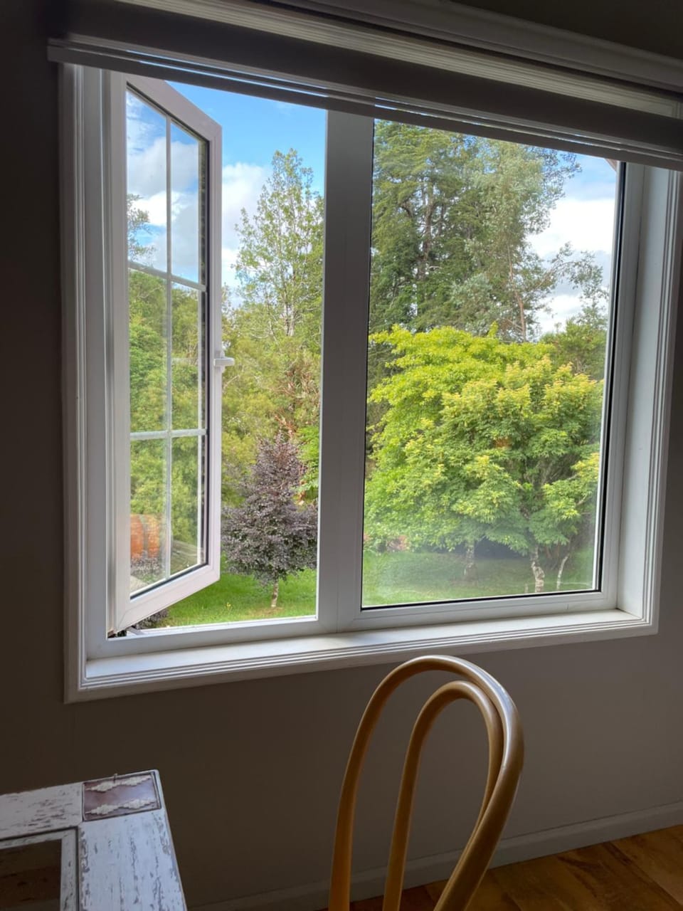 Garden view