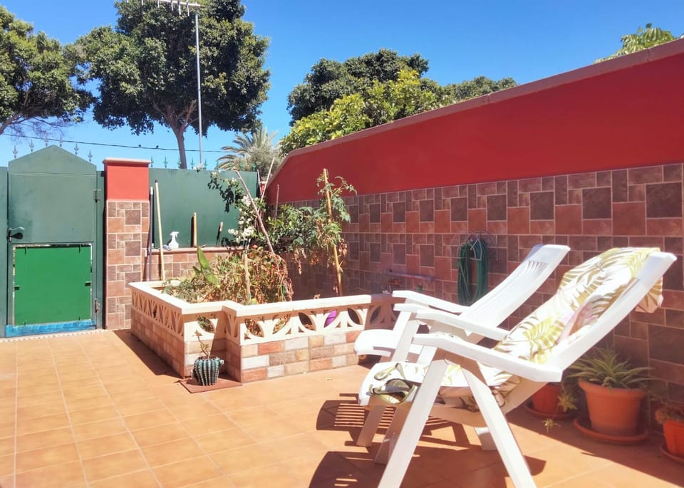 Patio, sunbed
