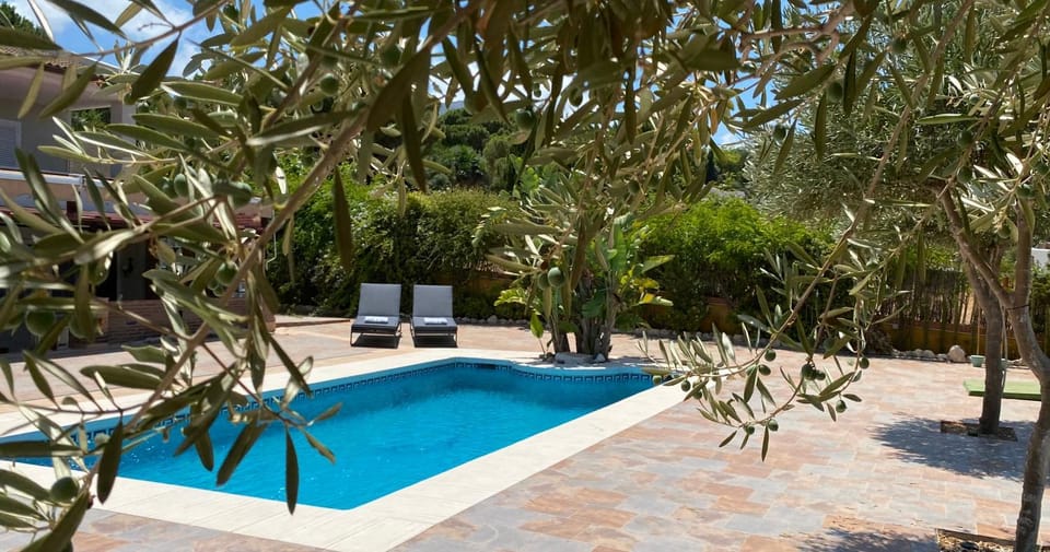 Swimming pool, sunbed