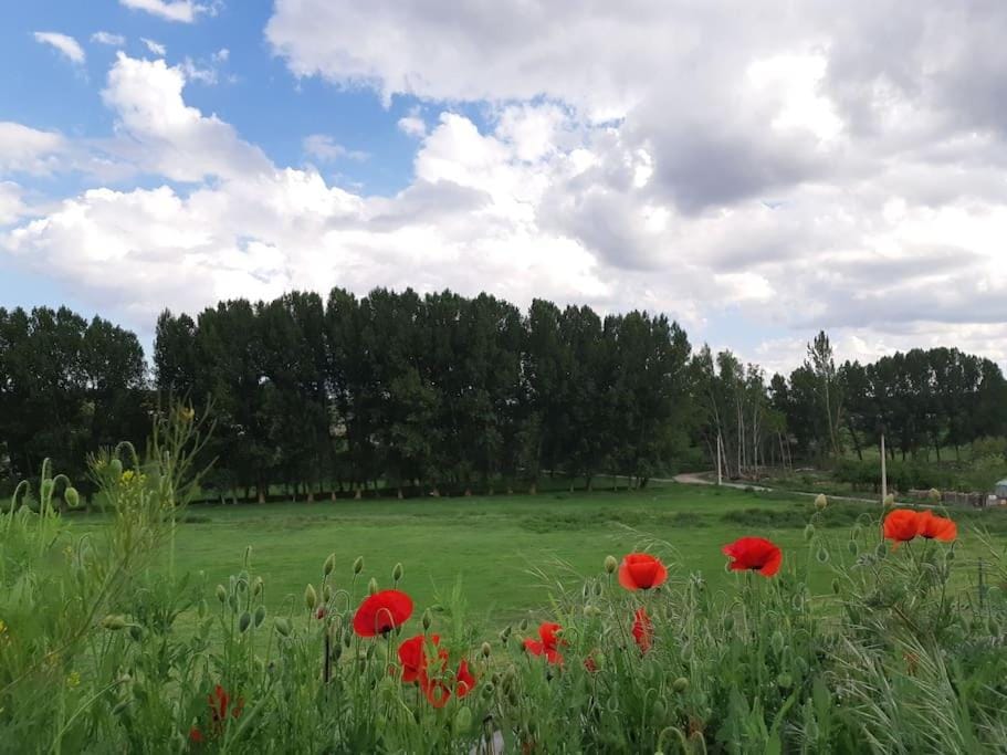 Natural landscape