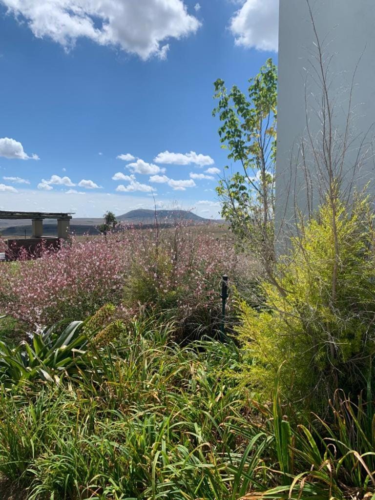 Natural landscape, Garden, Garden, Garden view