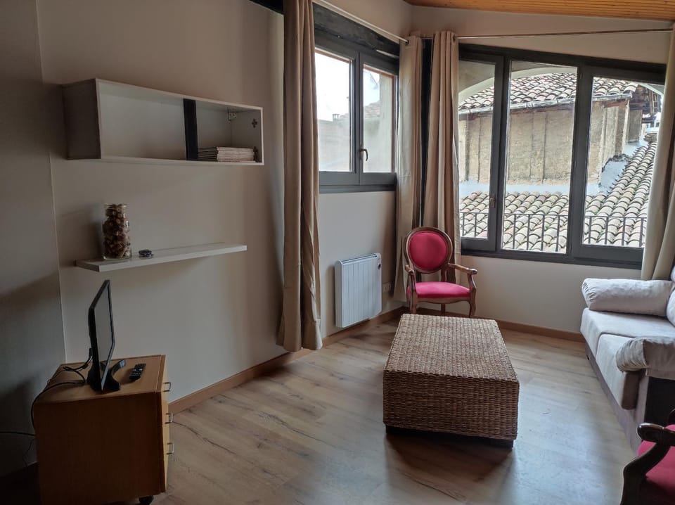 APT 3 Àtic acollidor al Centre de Vic - APTGARBI Apartment in Catalonia