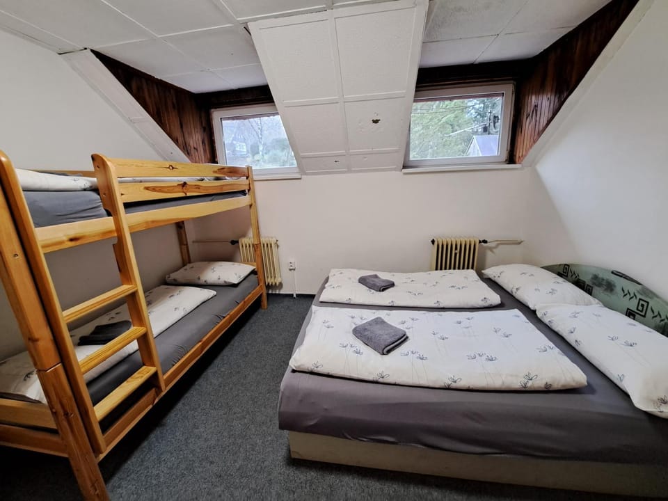 Bed, Photo of the whole room, Bedroom, bunk bed