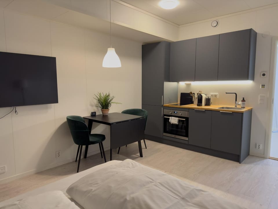 Bed, TV and multimedia, Coffee/tea facilities, Kitchen or kitchenette, Dining area, dishwasher, oven, stove