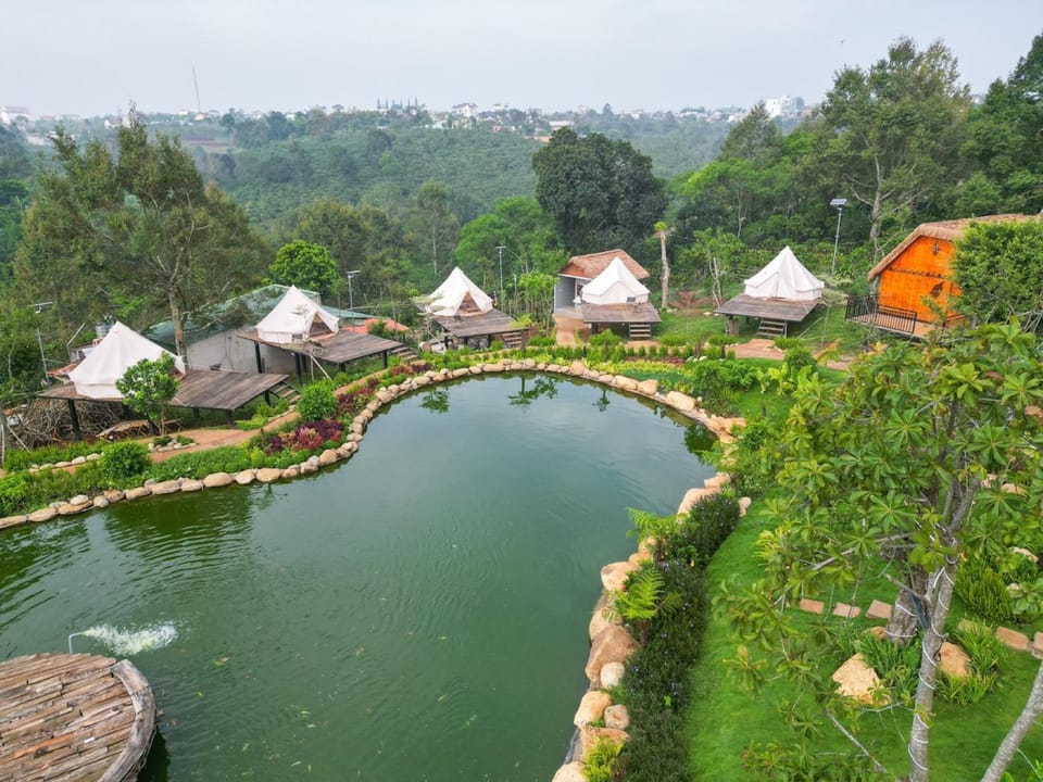 Spring, Day, Natural landscape, Garden, Garden, Garden view, Lake view