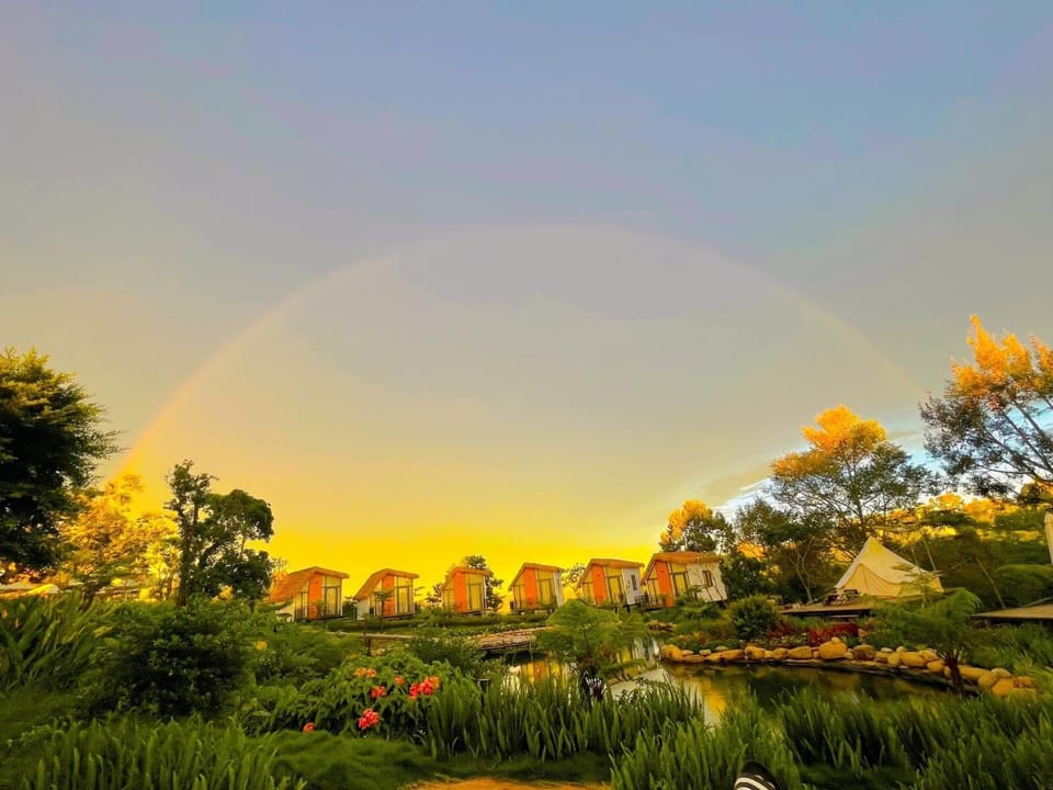 Spring, Day, Natural landscape, Garden, Garden view, Sunrise, Sunset