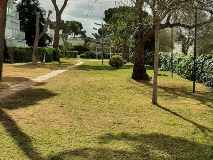 Natural landscape, Garden, Garden view