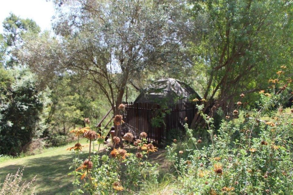 Garden view, River view, River view