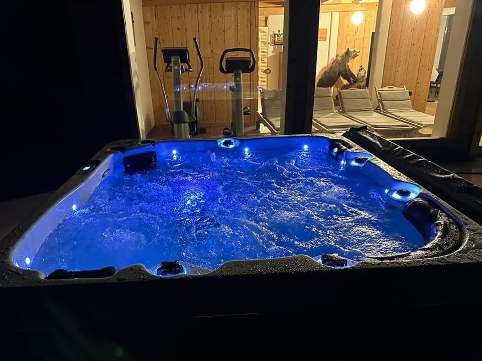 Chalet HerMes arT with pool and full privacy Villa in Slovenia