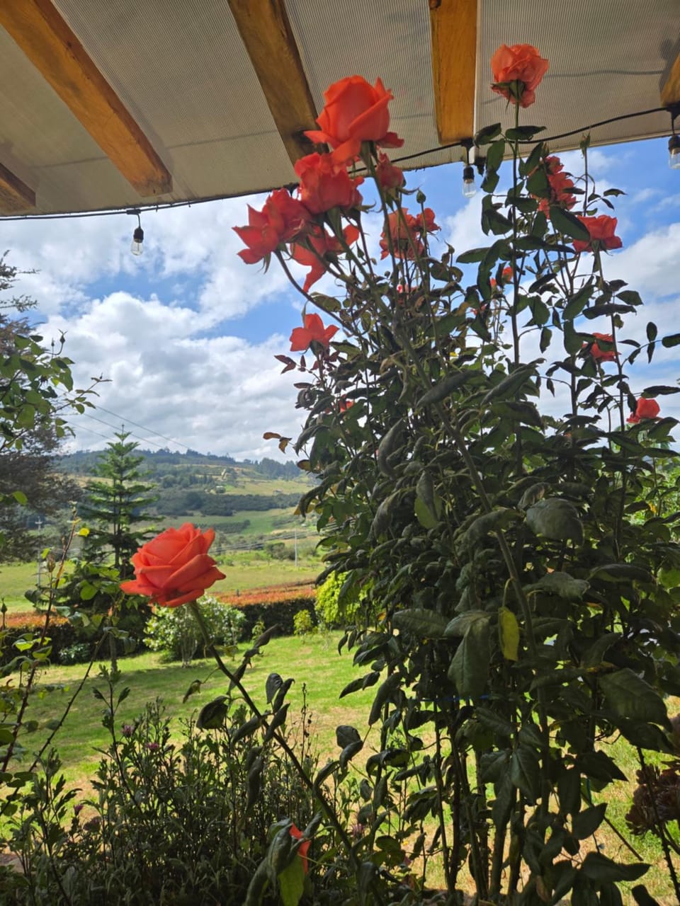 Cabaña Campestre Montreal House in Boyaca
