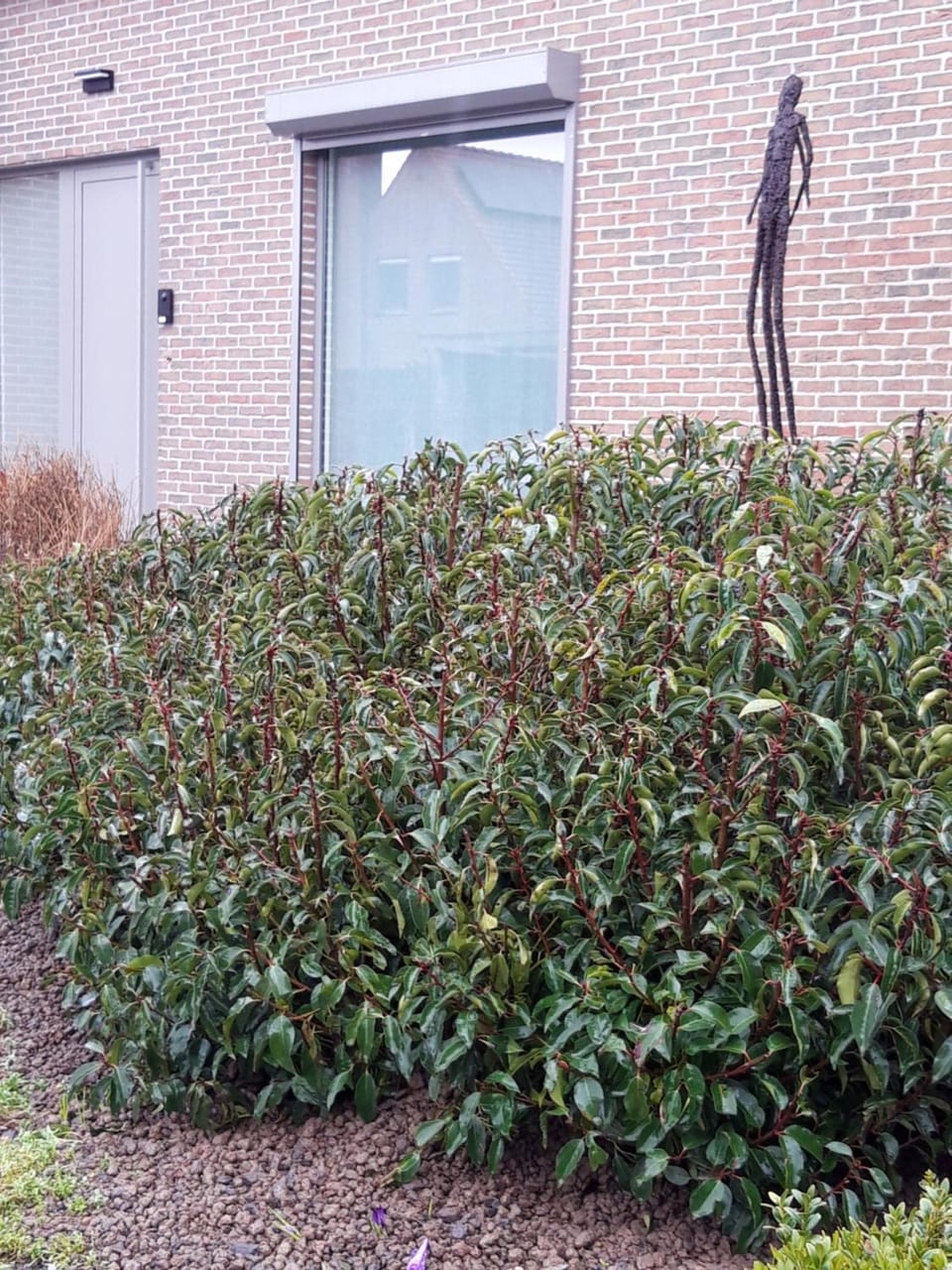 B&B Bergdal Bed and Breakfast in Flanders