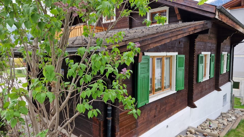 Chalet-Daheim-Fiesch 3,5-Zimmerwohnung Apartment in Canton of Valais