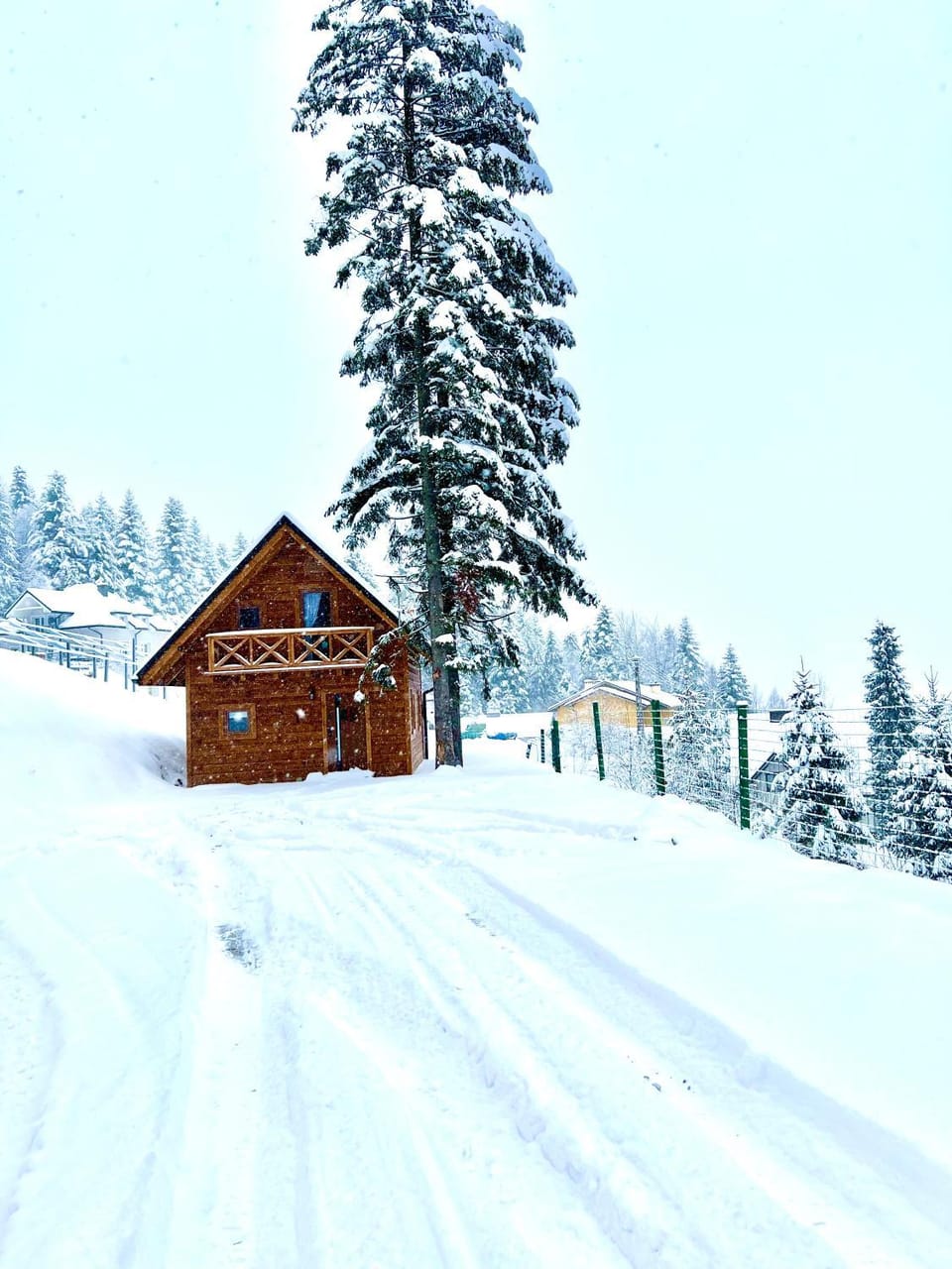 Natural landscape, Winter