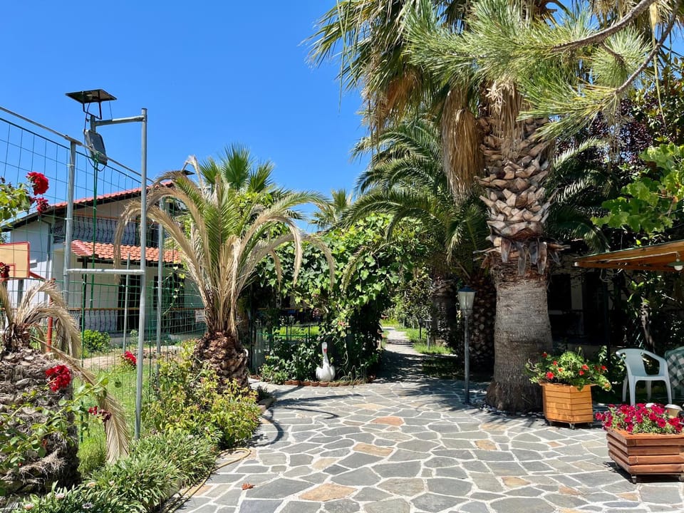 Property building, Garden, Garden view
