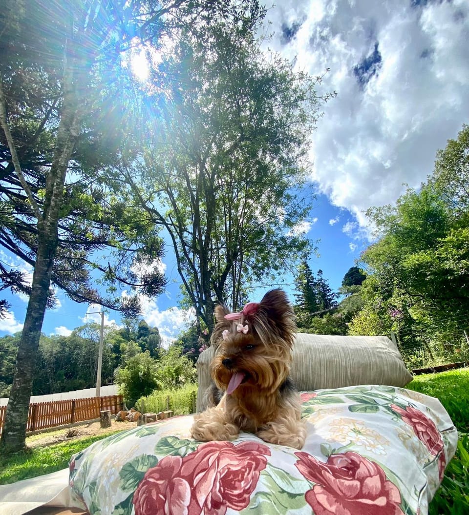Chalés da Serra Nature lodge in São Francisco de Paula