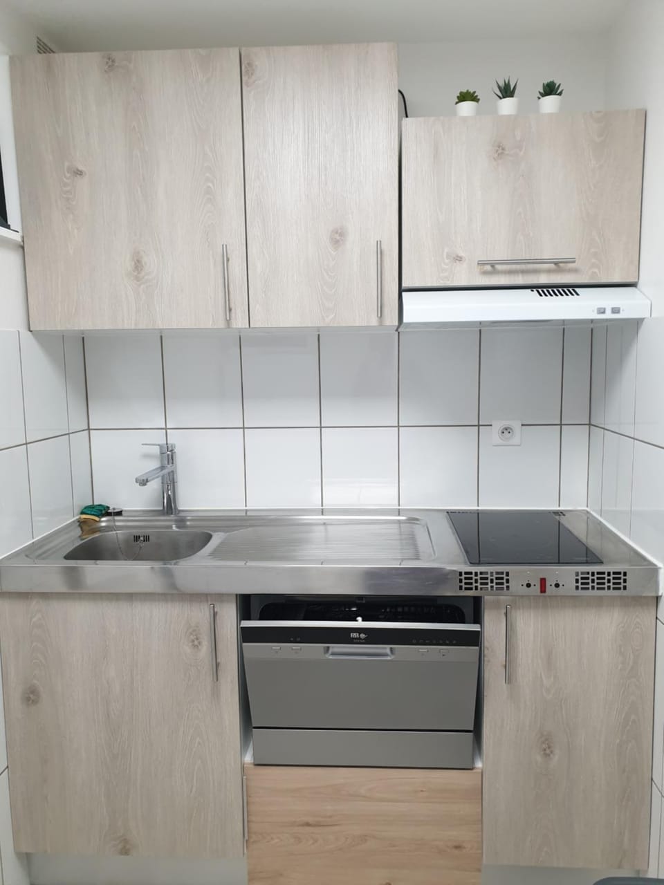 Kitchen or kitchenette, dishwasher