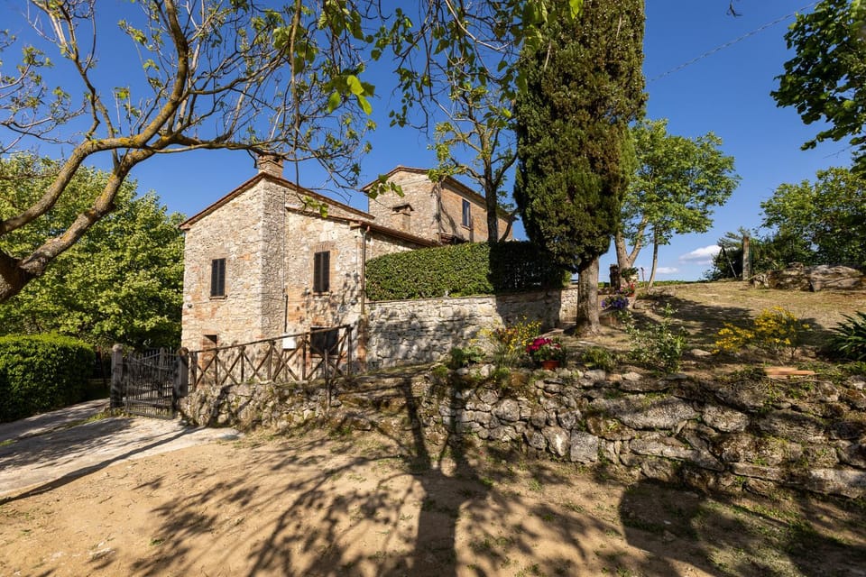 Property building, Garden view