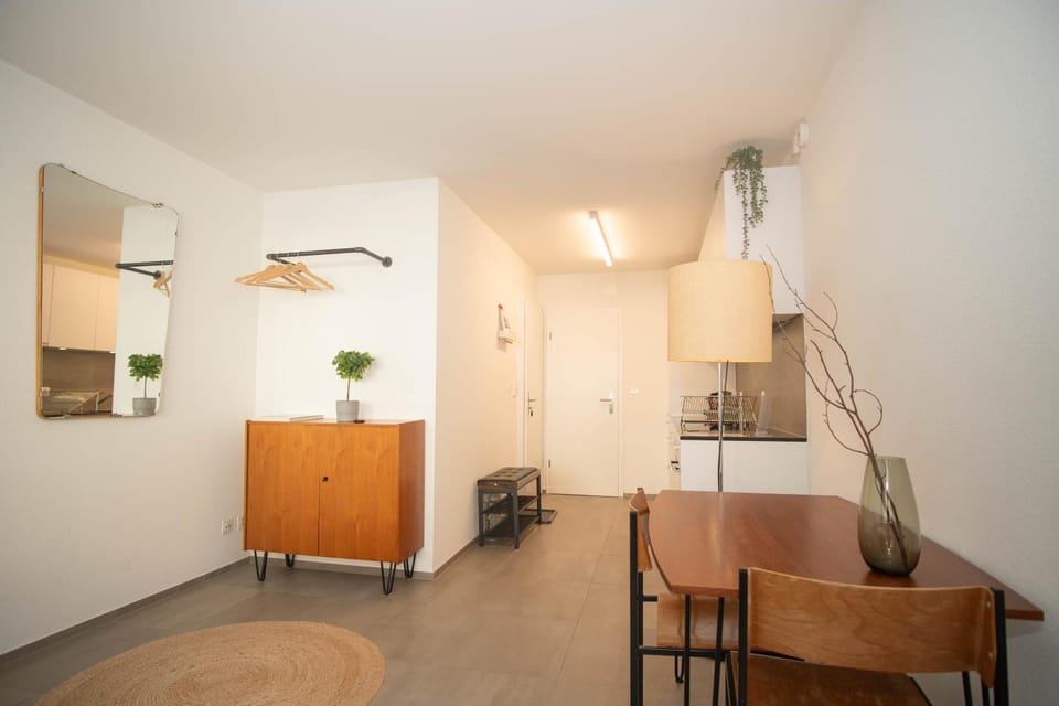 Modern apartment in Basel with free BaselCard Apartment in Basel