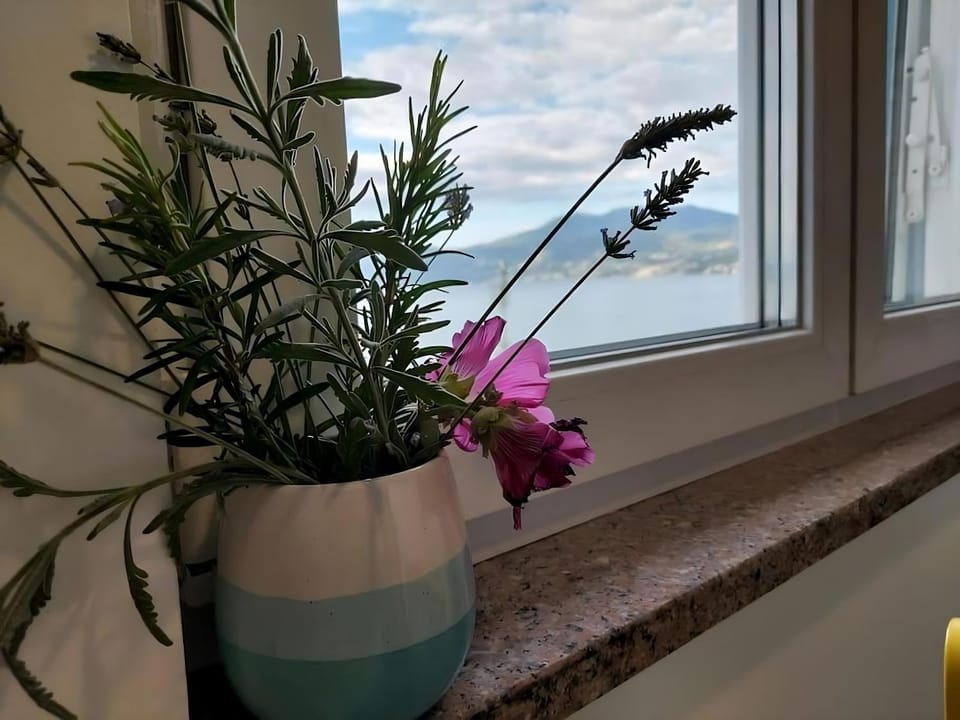 Natural landscape, Sea view