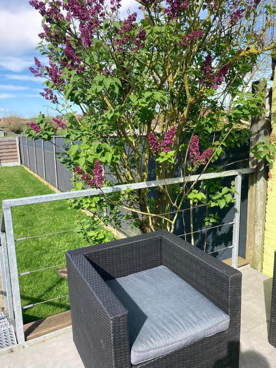 Garden, Balcony/Terrace