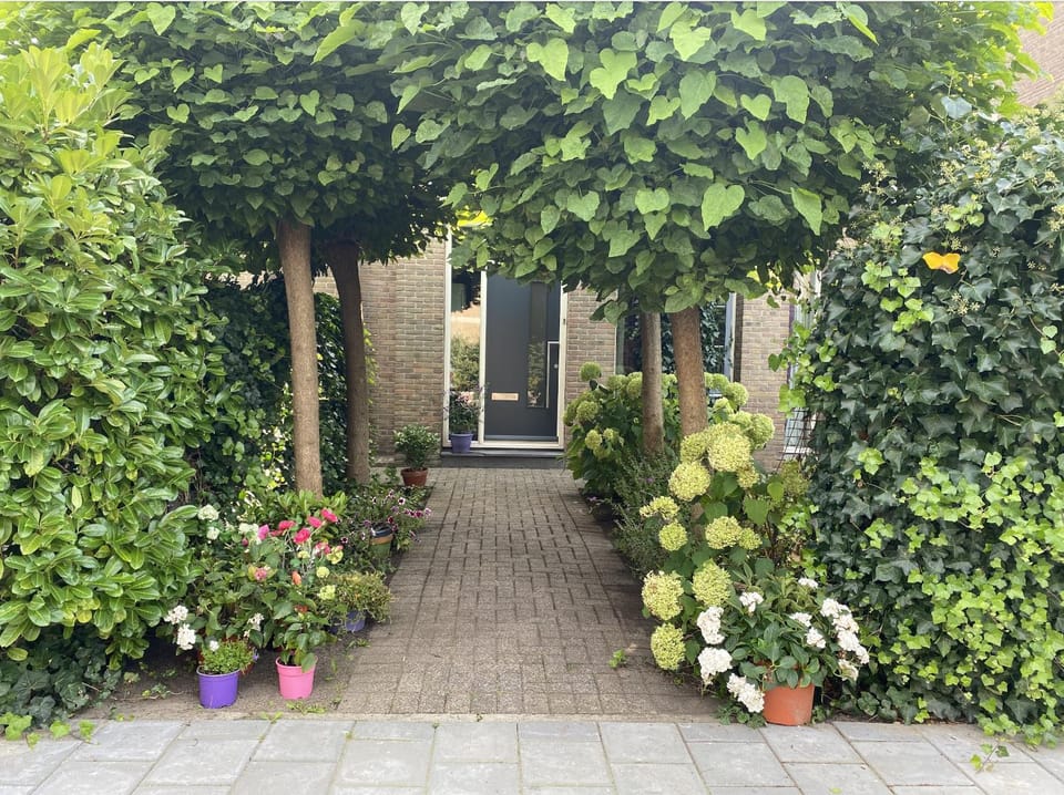 Property building, Day, Garden
