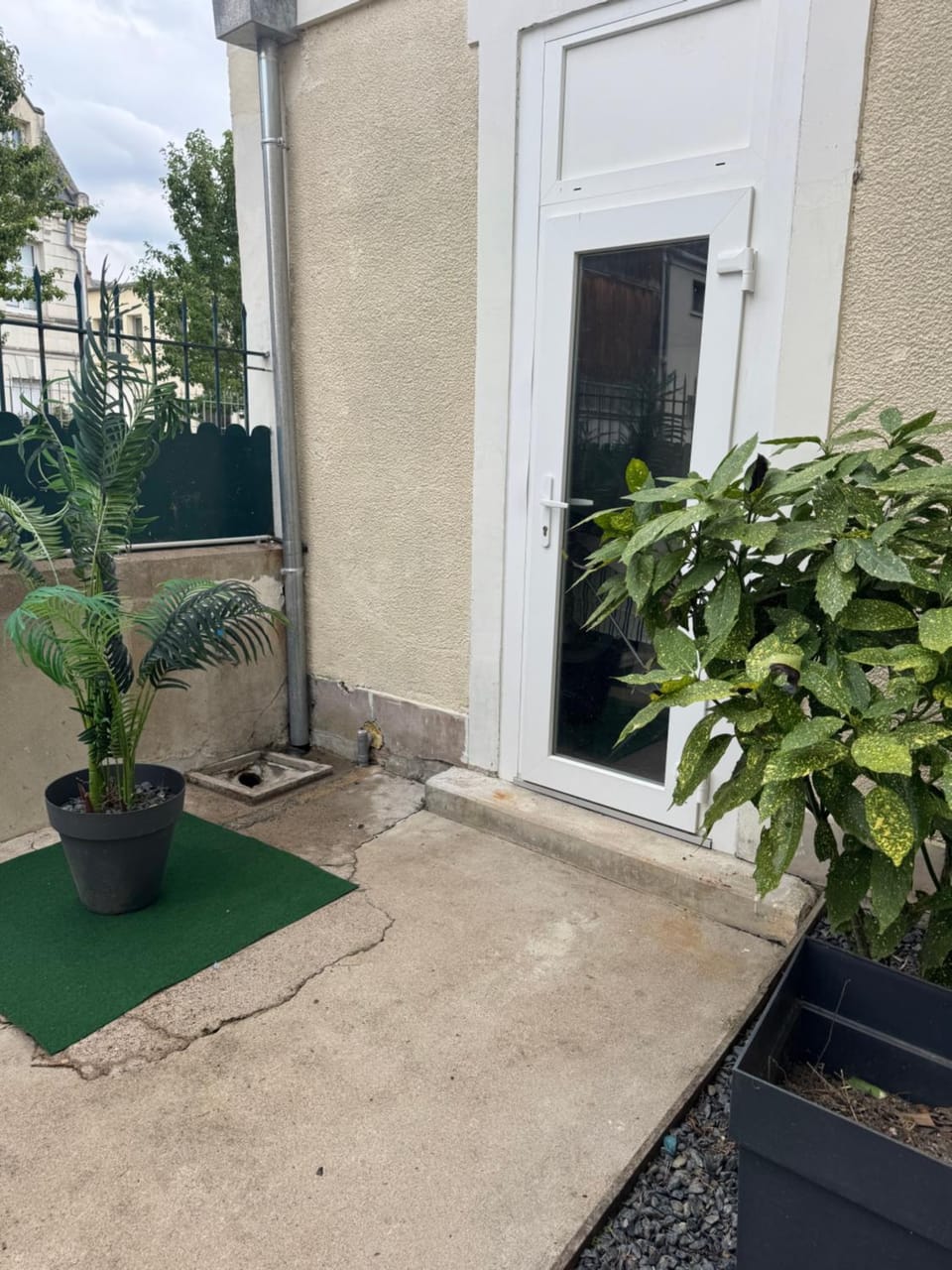 Garden view